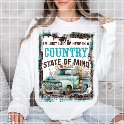 Country State Of Mind|Hank Junior Lyrics|Country Music PNG|sublimation| Instant Digital Download|T-shirt PNG File|T-Shirt Design|Vintage