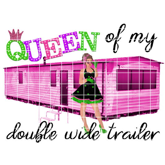 Funny T Shirt Funny T-Shirt Trailer Park Shirt Queen Of My Double Wide Trailer Shirt PNG Country Music Shirt Cute T-Shirt Gift For Her